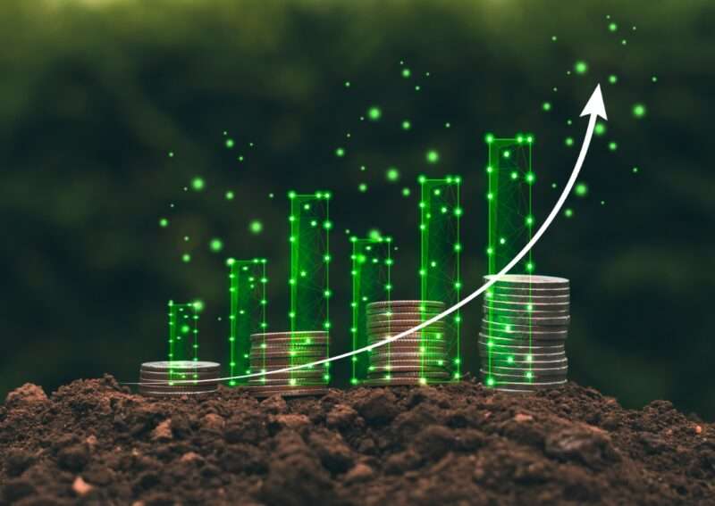 Effective Strategies For Saving Money Daily